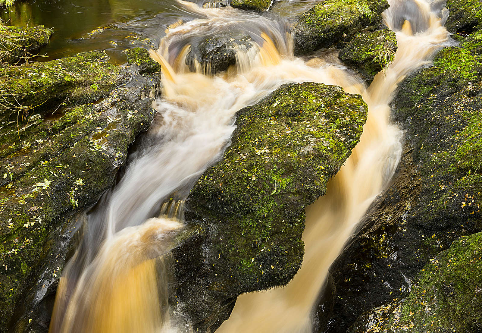 Image of people on the Peace Bridge, Derry, Ireland